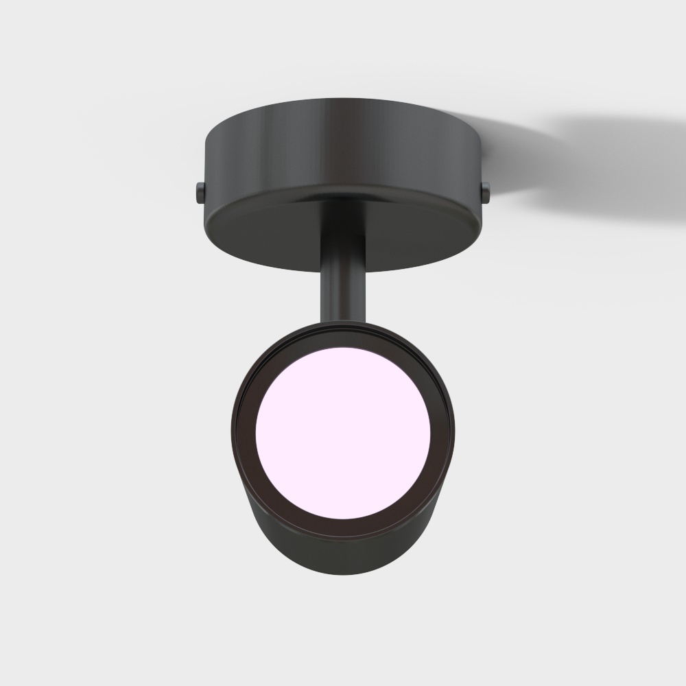 Smart Color Surface-mounted Spotlight-Black-Single Head