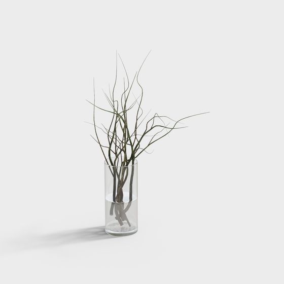 Glass Vase with Dry Branches 3D model