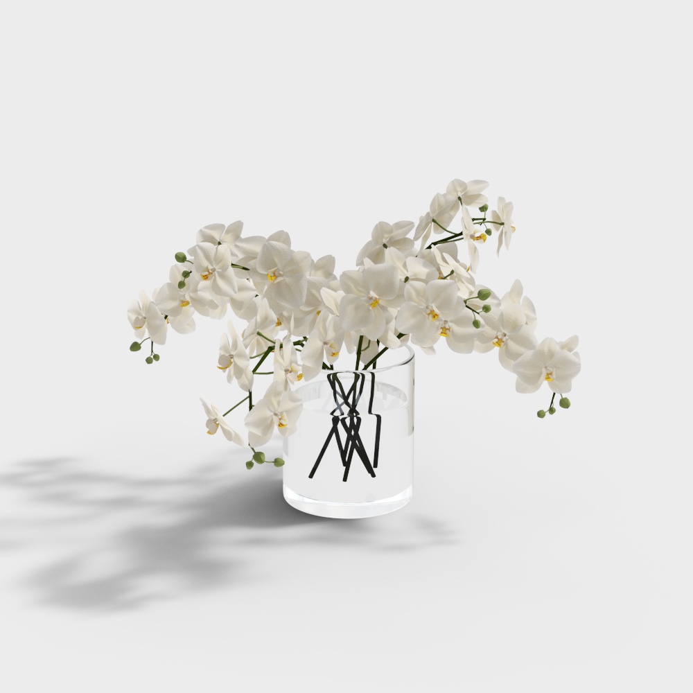 Ornements de plantes vertes 95