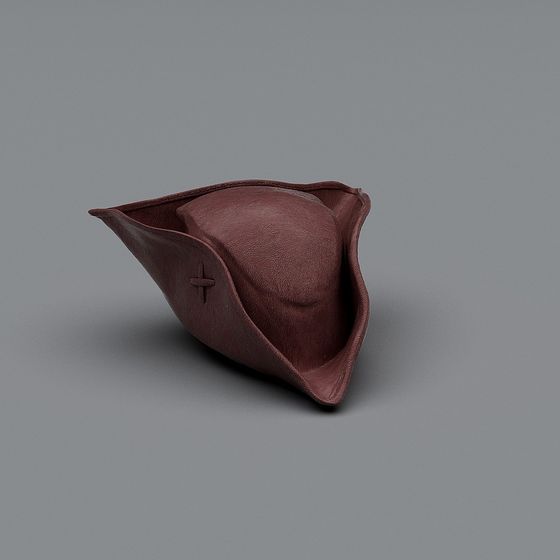 Vintage Pirate Hat 3D model
