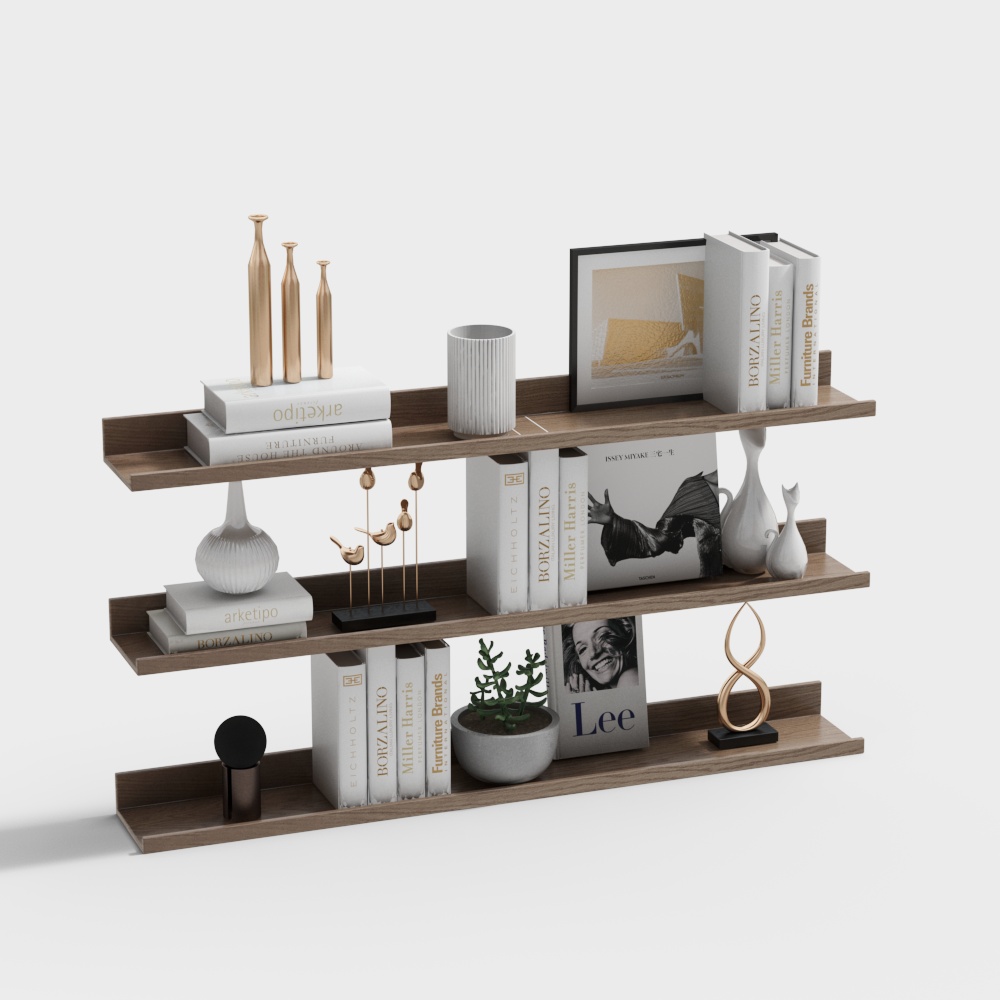 Modern minimalist bookshelves