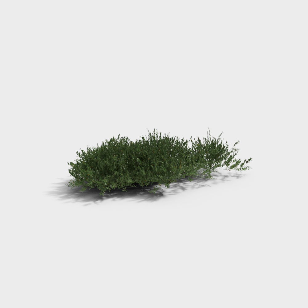 Low-Poly High-Detail Bush 3D Model