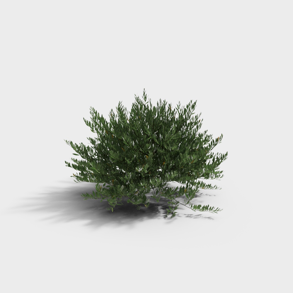 Vibrant Forest Sprite 3D Model