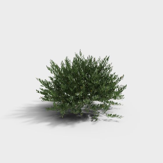 Vibrant Forest Sprite 3D Model