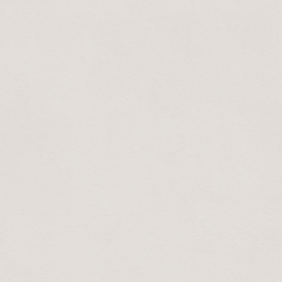 Wall Paints 3D Model in Earth Color