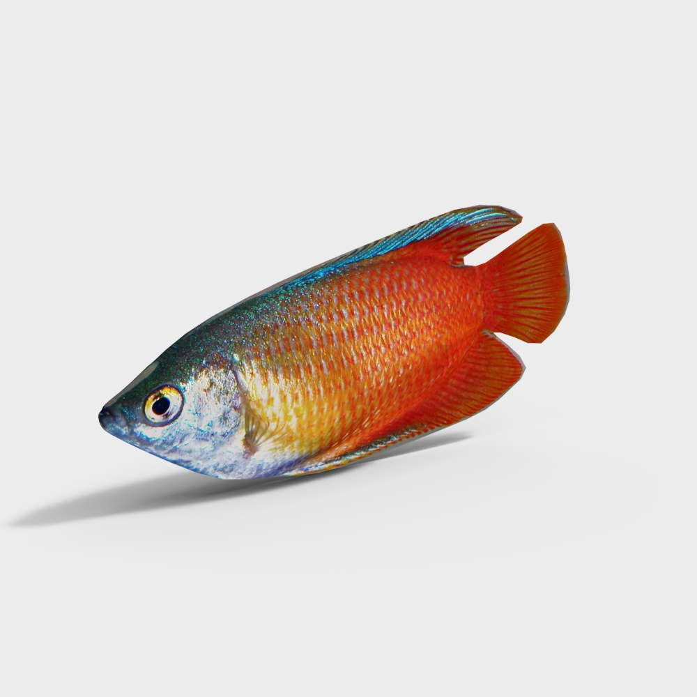 Vibrant Tropical Fish 3D model for Creative Projects