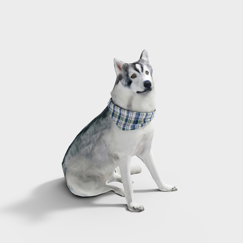 Realistic Low-Poly Husky 3D Model