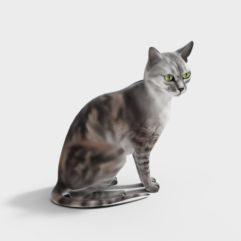 Lifelike Silver Tabby Cat 3D Model