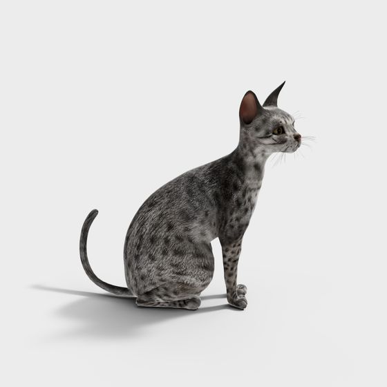 Realistic Egyptian Cat 3D model