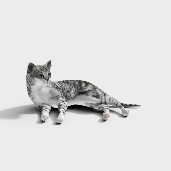 Relaxed Cat 3D model