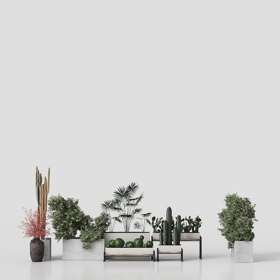 Modern 3D Plant Pot Models for Urban Spaces