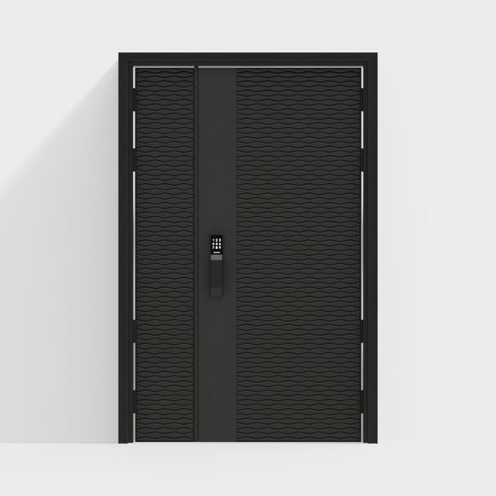 Porte d'entrée moderne