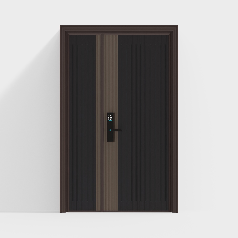 Modern entrance door