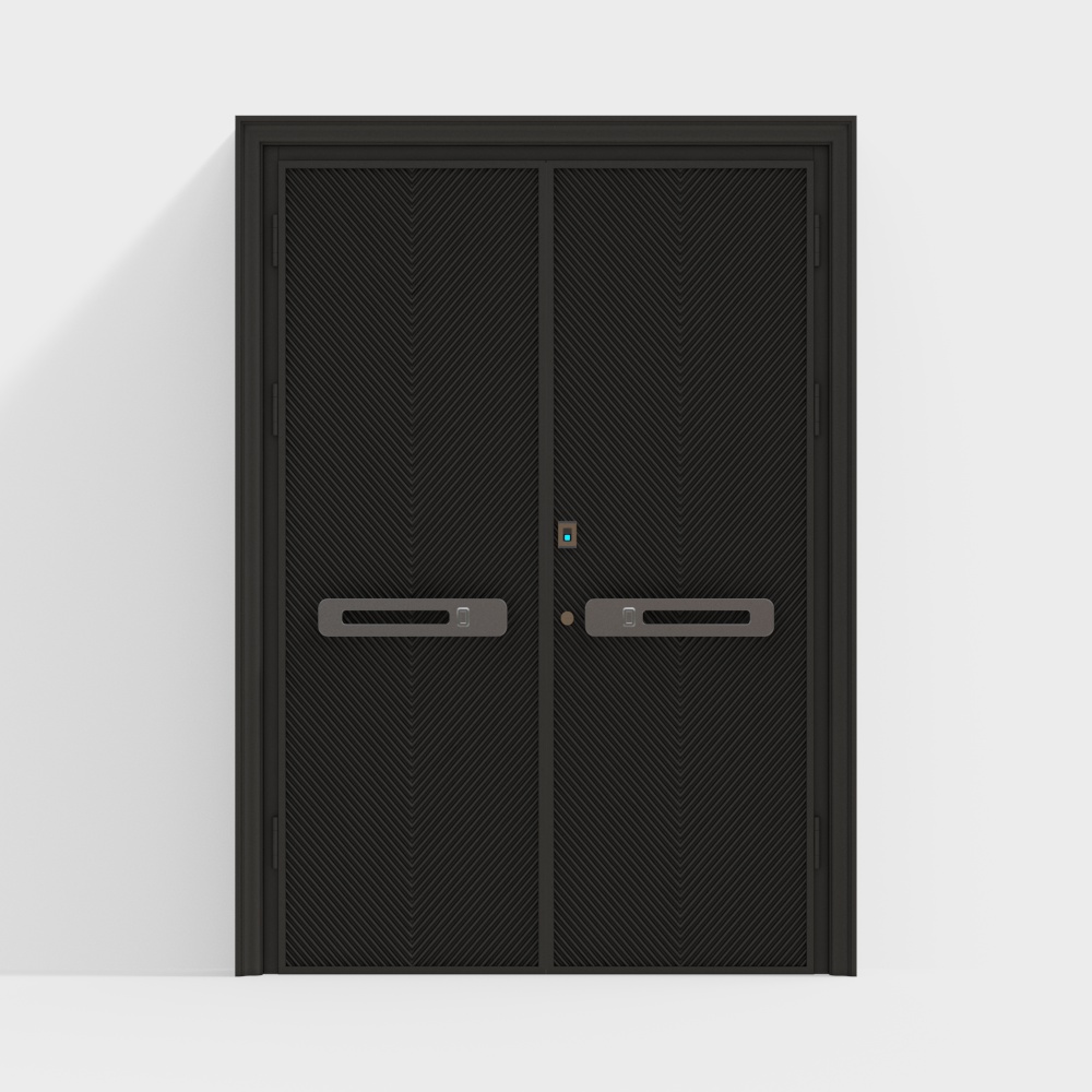 Modern Entrance Door