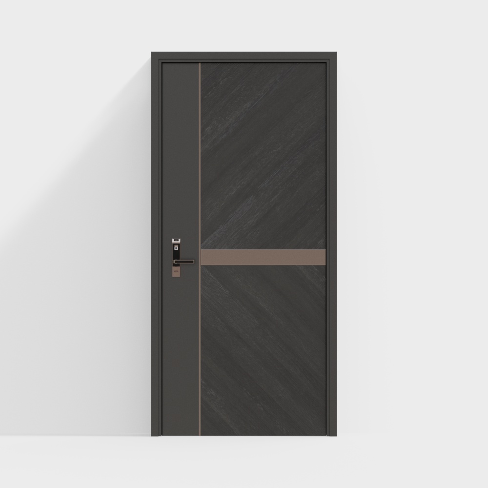 Modern entrance door