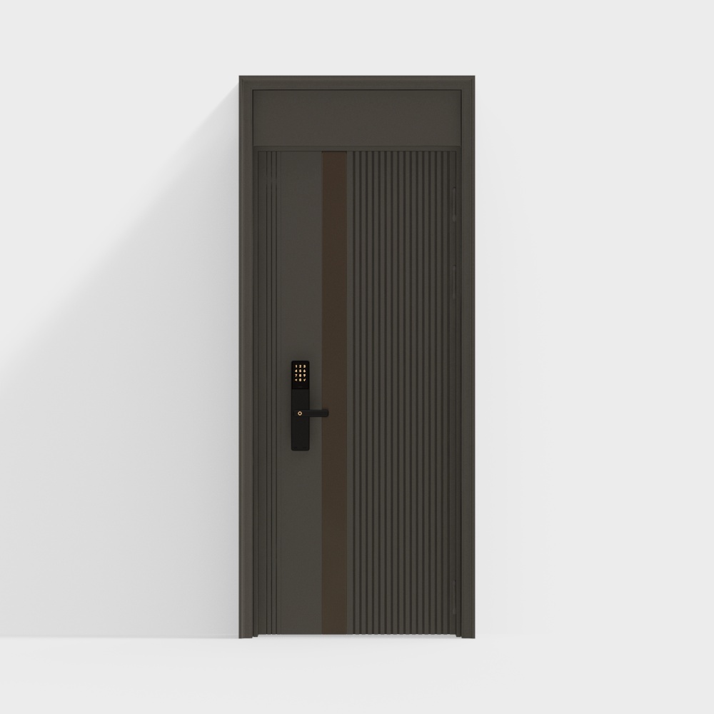 Modern entrance door