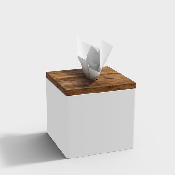 Modern Minimalist Tissue Box 3D model