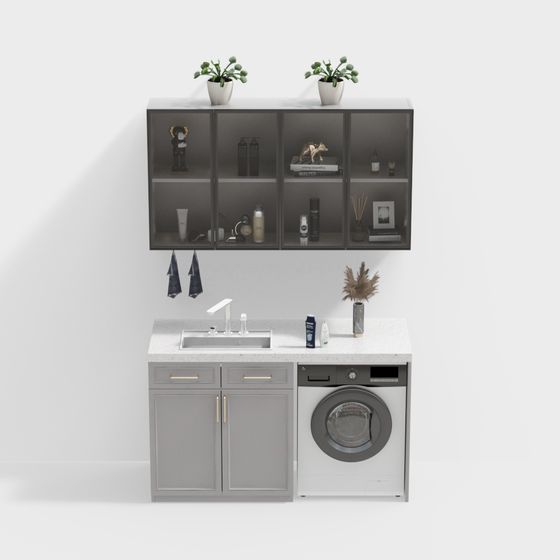 Laundry Room Oasis 3D model