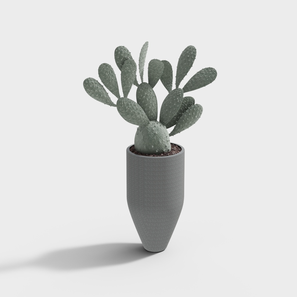 Cactus greeYery