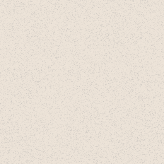 Wall Paint 3D Model in Gray