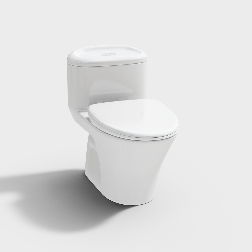 CCIX1828 toilet