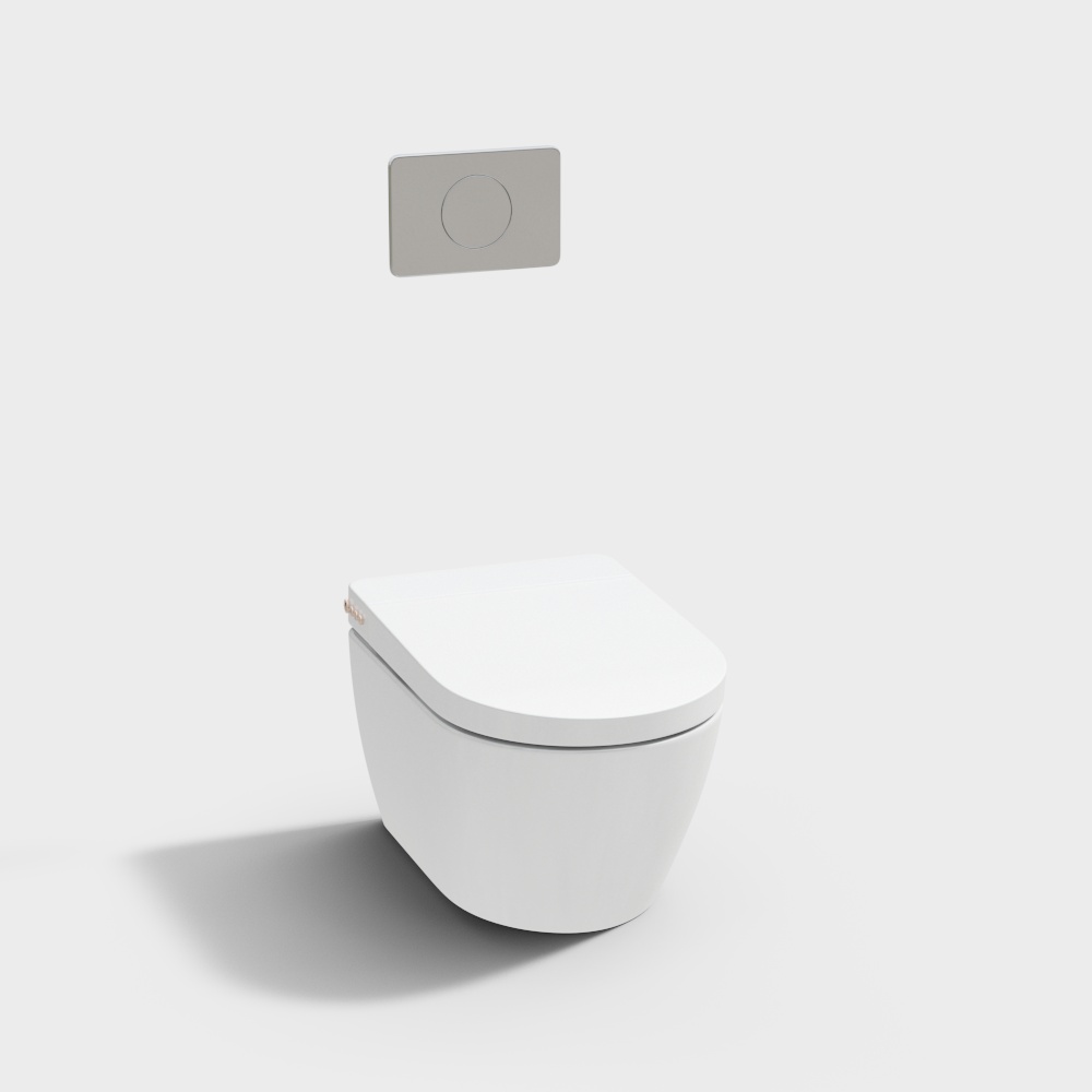 V7216 toilet