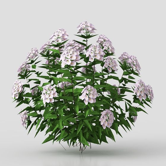 Dreamy Floral Cluster 3D model for Creative Projects