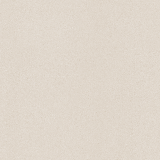 Inorganic Micro-Quartz Wall Paint 3D Model - Earth Color