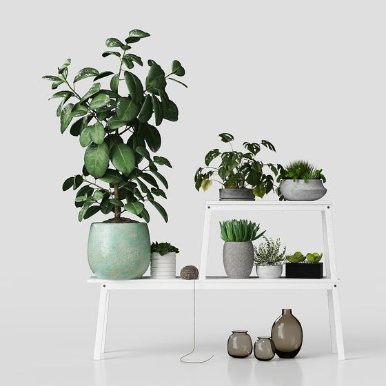 Low Poly Plant Shelf Set 3D Model