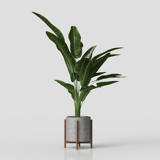 Tropical Green Plant 3D model for Creative Spaces