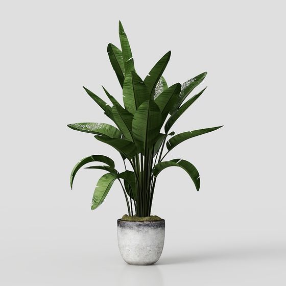 Stylish Tropical Plant Pot 3D model