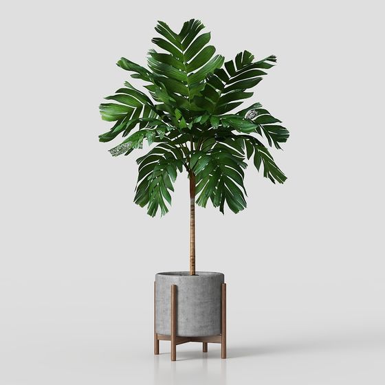 Tropical Potted Plant 3D model