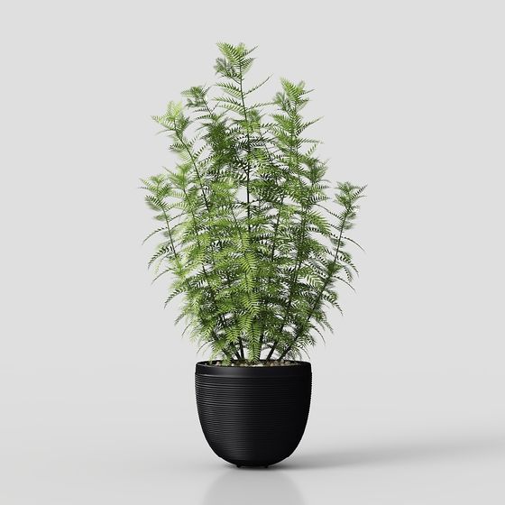 Low-Poly Fern Plant Pot 3D model