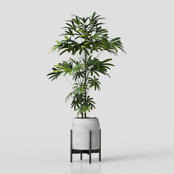 Tropical Style Potted Plant 3D model