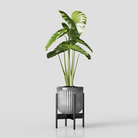 Urban Oasis 3D model for Modern Interior Spaces