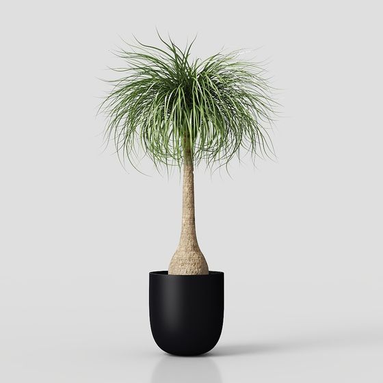 Stylish Indoor Green Plant 3D model