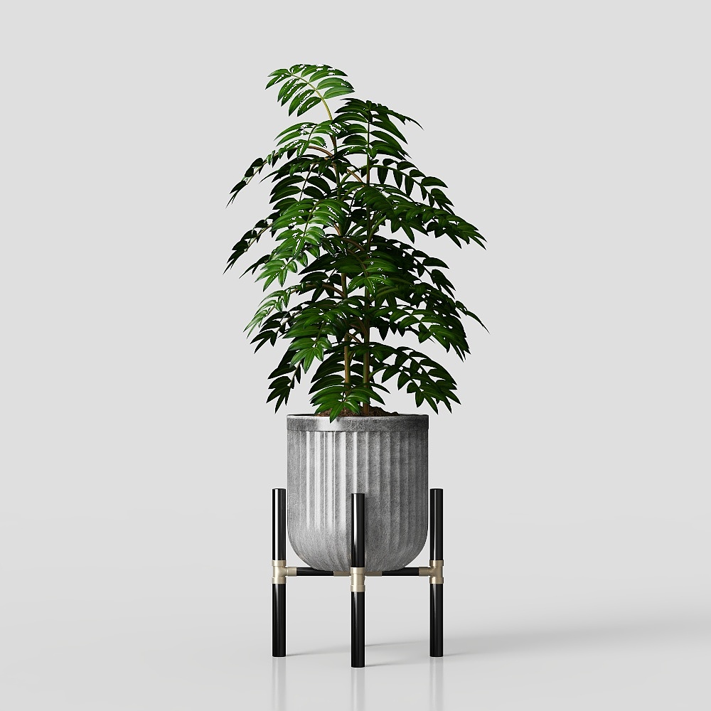 ต้นไม้สีเขียว 35