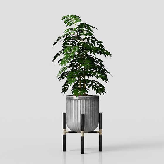 ต้นไม้สีเขียว 35