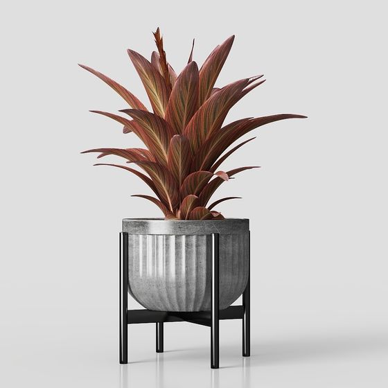 Urban Oasis Low Poly Plant 3D model