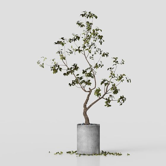 Vibrant Indoor Potted Tree 3D Model