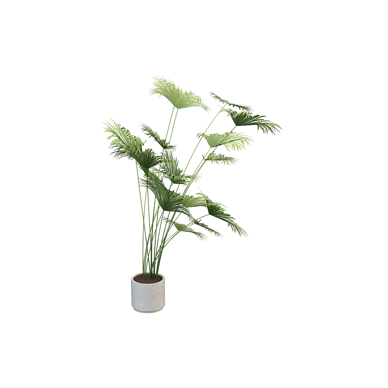 Tropical Palm Tree 3D Model – Low-Poly Natural Decor