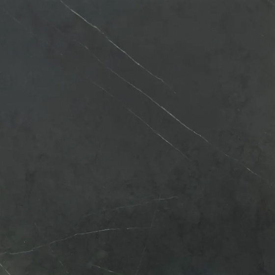 Trendy French Black Wood Panel for Elegant Interiors