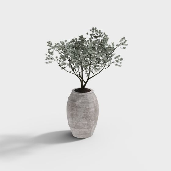 Urban Plant Potted 3D Model
