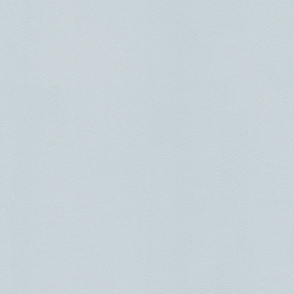 Wall paints/coatings