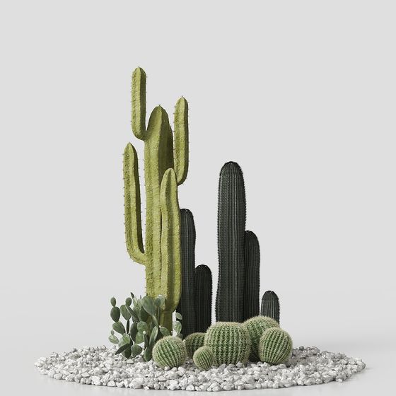 Desert Oasis 3D model