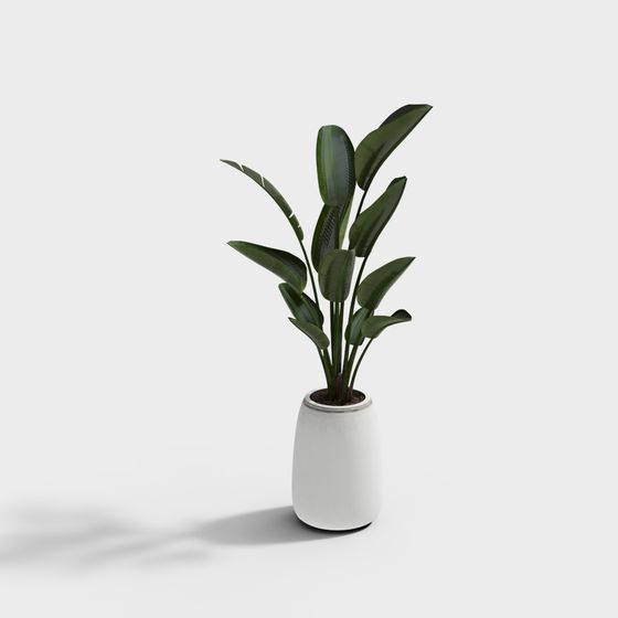 Stylish Indoor Potted Plant 3D Model for Interiors