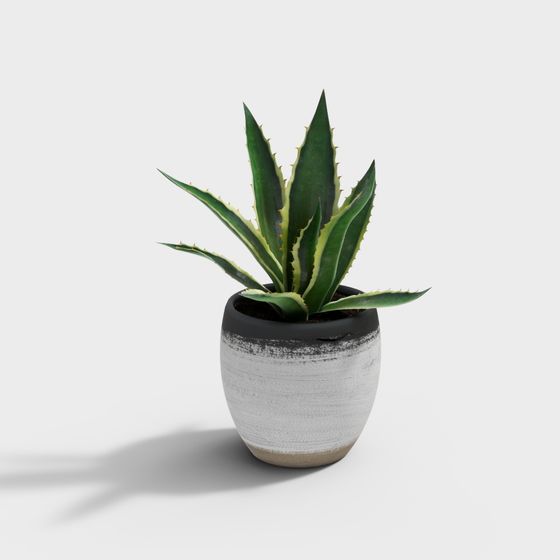 Desert Oasis Indoor Plant Pot 3D model