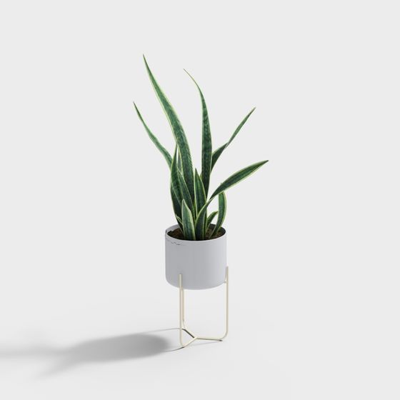 Snake Plant Stand 3D model for Modern Spaces