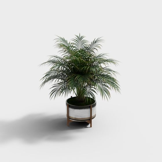 Low Poly Indoor Plant 3D Model