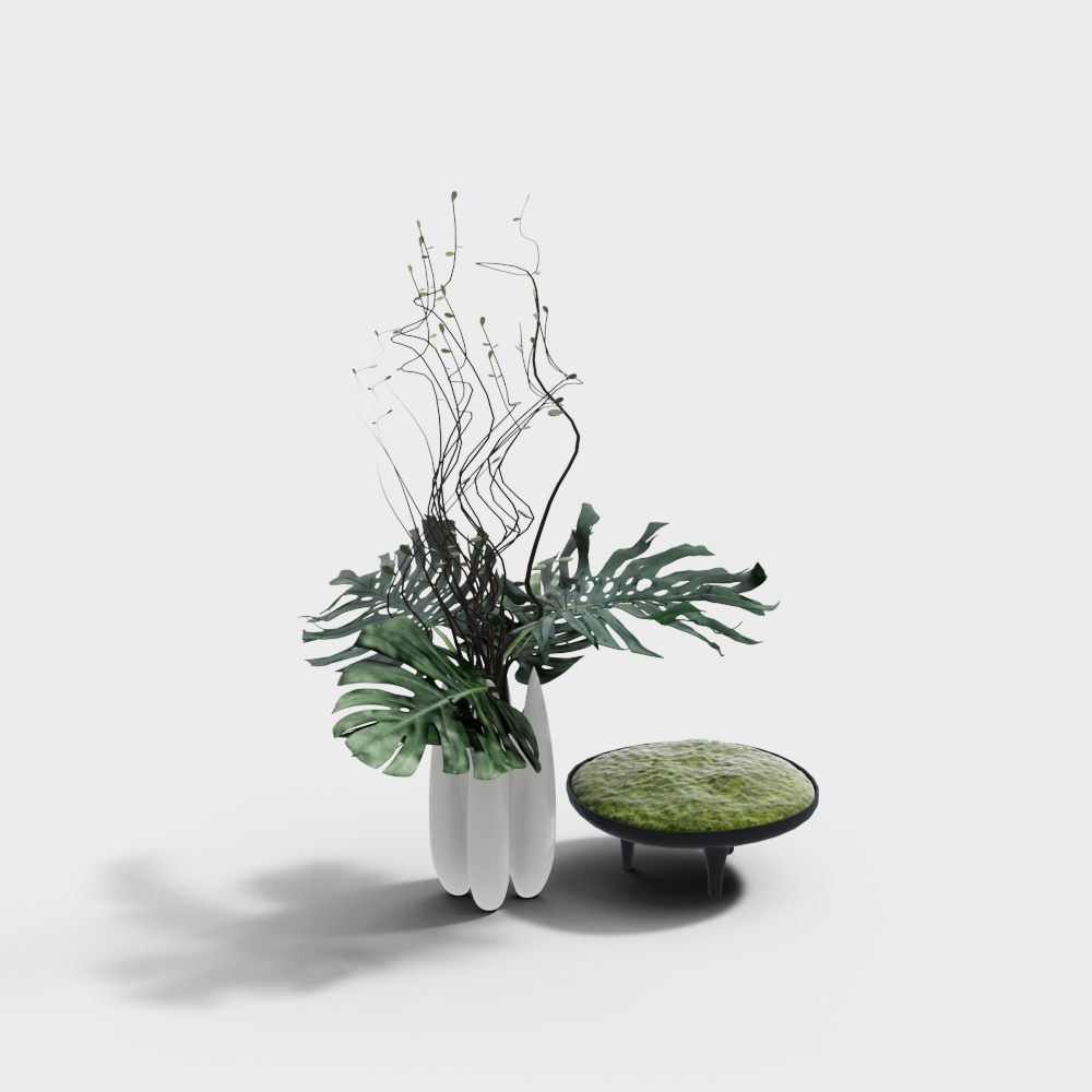Modern Plants,Plants,green